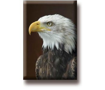 Fridge Magnet, Eagle