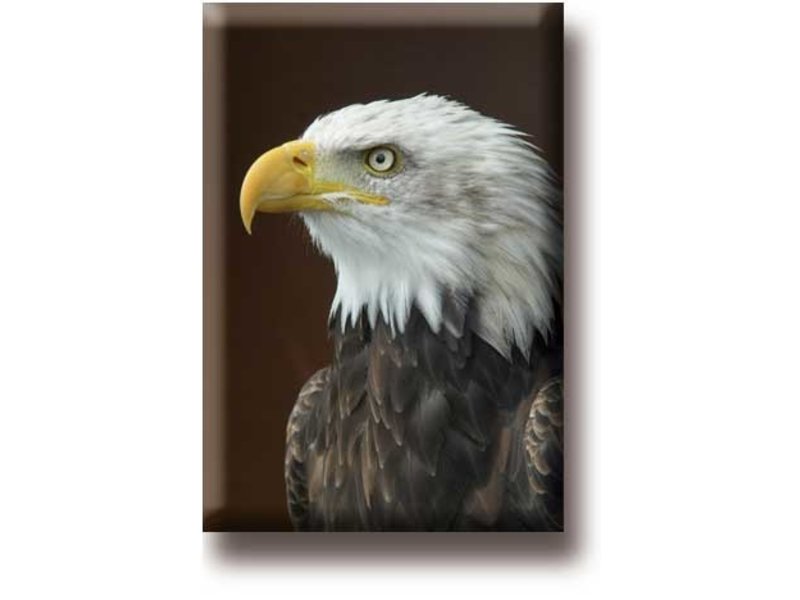 Fridge Magnet, Eagle