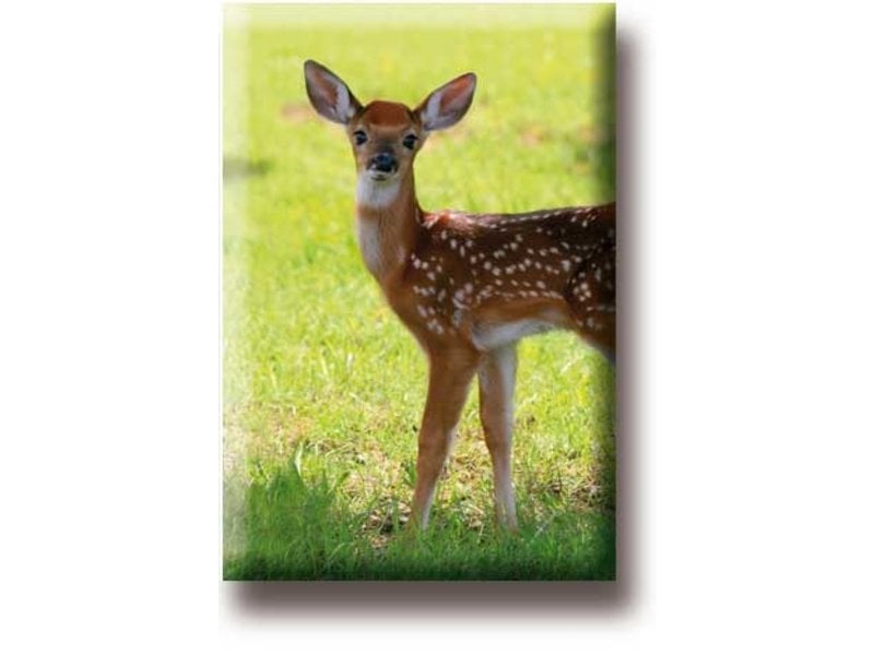 Fridge magnet, Deer, calf