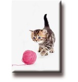 Fridge magnet, Cat with ball of wool