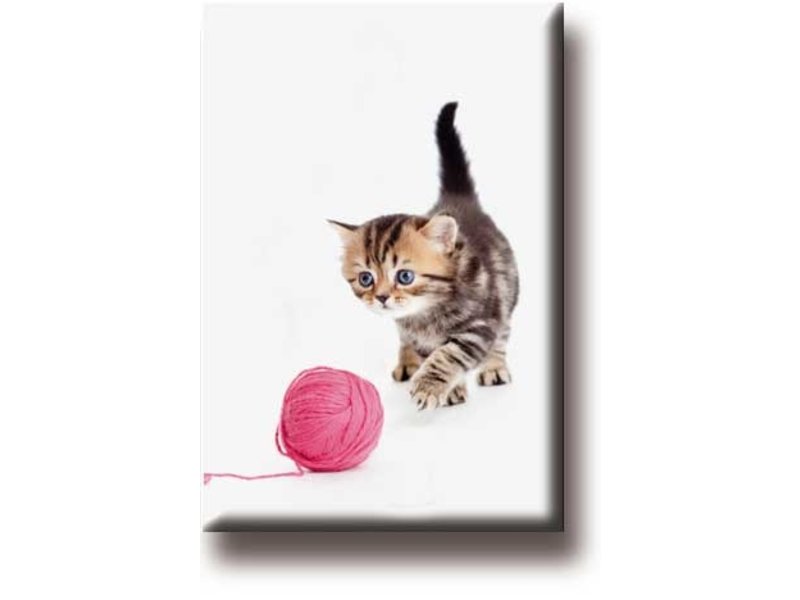 Fridge magnet, Cat with ball of wool