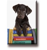 Imán de nevera, cachorro en libros