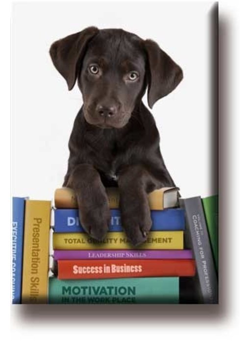 Imán de nevera, cachorro en libros