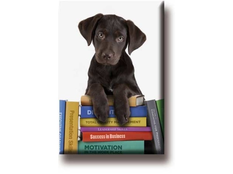 Imán de nevera, cachorro en libros