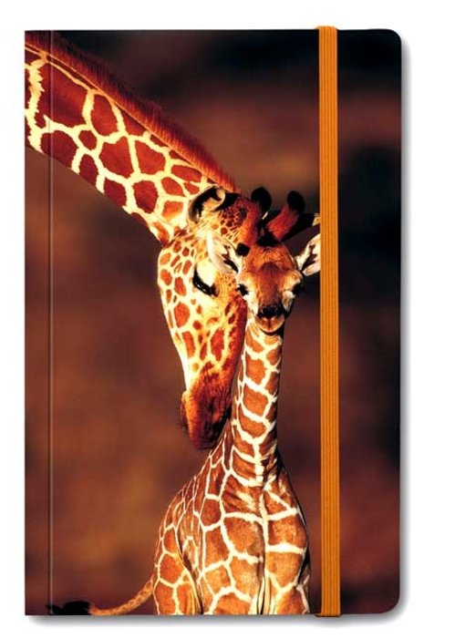 Softcover-Notizbuch A6, Giraffe und Babygiraffe