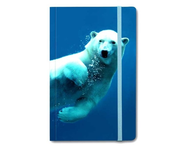 Cuaderno de tapa blanda, oso polar