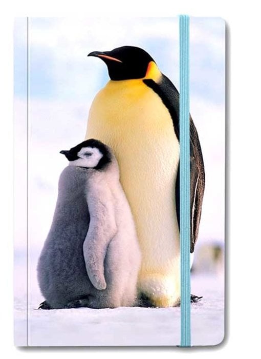 Cuaderno de tapa blanda A6, pingüinos