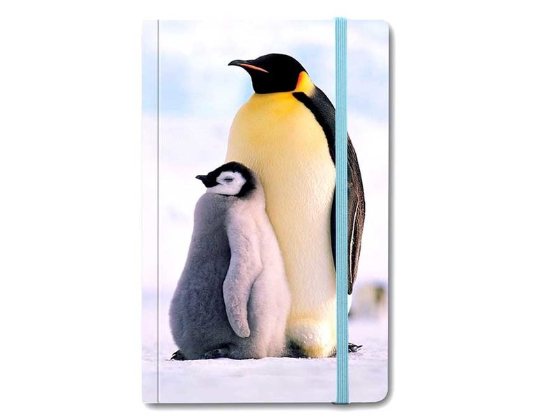 Cuaderno de tapa blanda, pingüinos