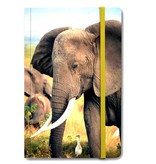 Cuaderno de tapa blanda, Elefante