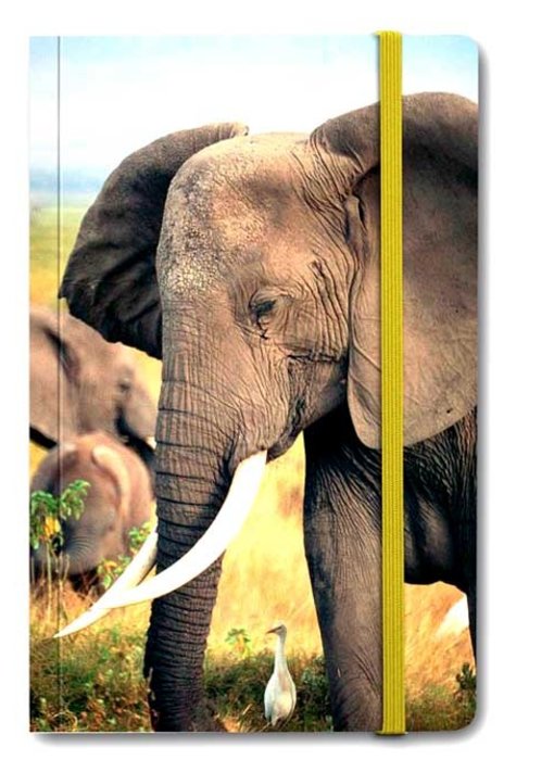 Softcover Book A6, Elephant