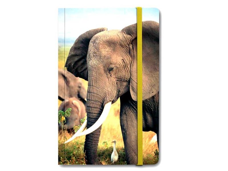 Cuaderno de tapa blanda, Elefante