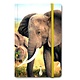 Cuaderno de tapa blanda A6, Elefante
