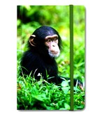 Carnet à couverture souple, Bébé chimpanzé