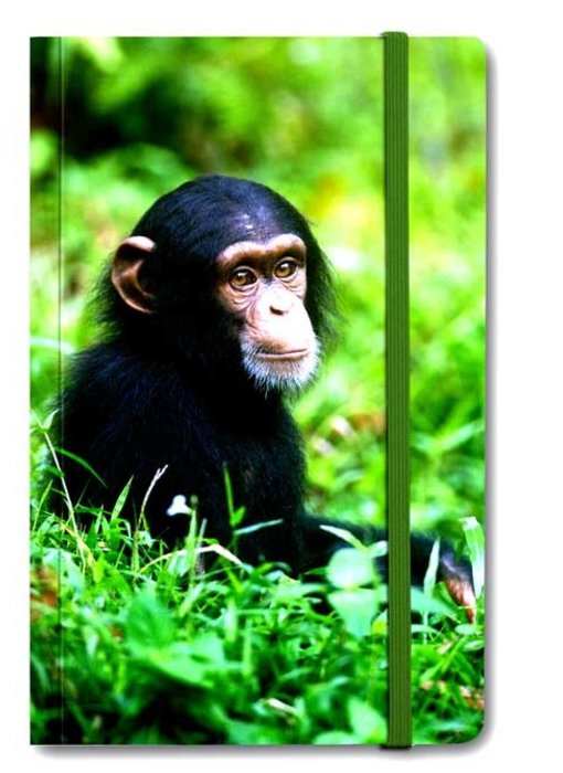 Softcover notitieboekje A6,  Baby Chimpansee