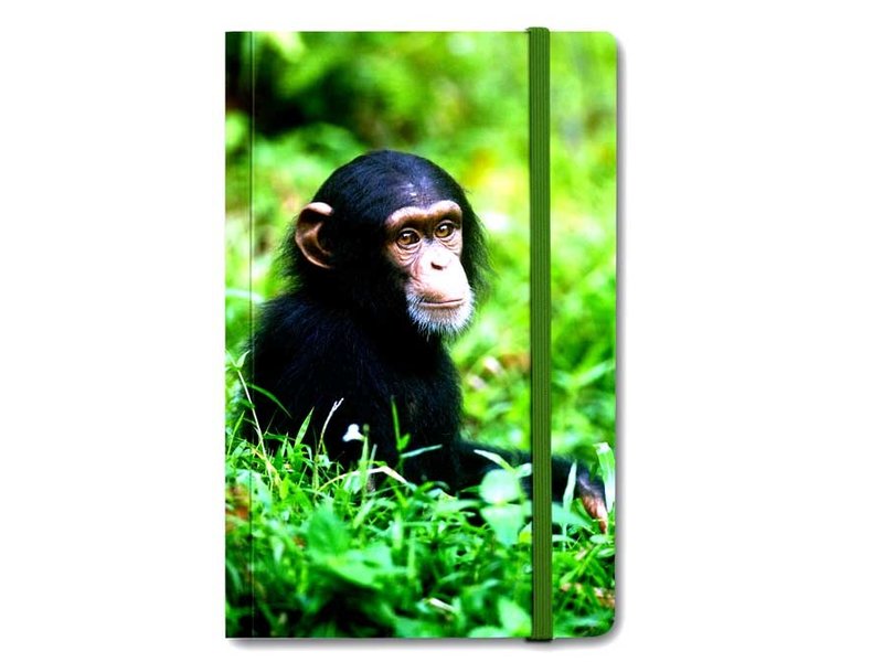 Softcover Books, Baby Chimp