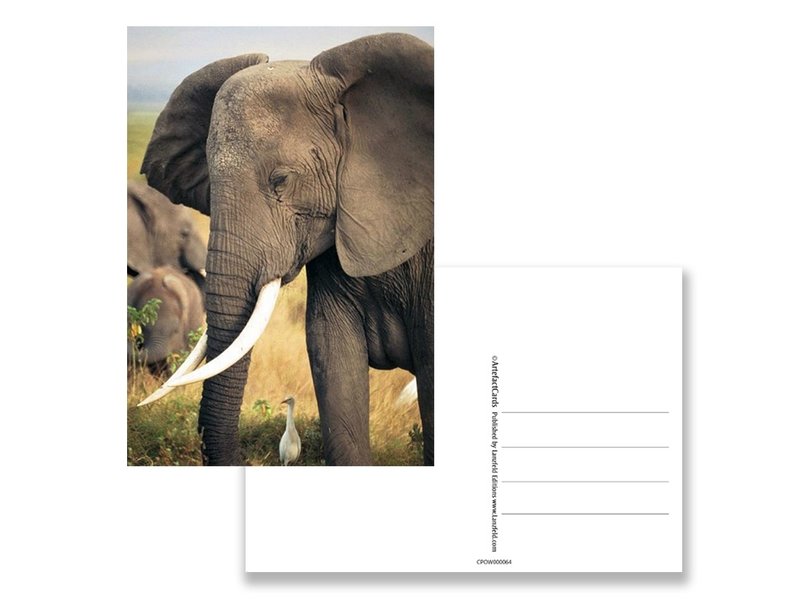 Postkarte, Elefant
