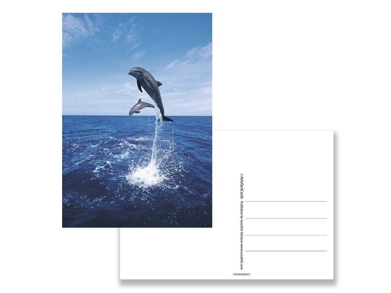 Carte postale, dauphins