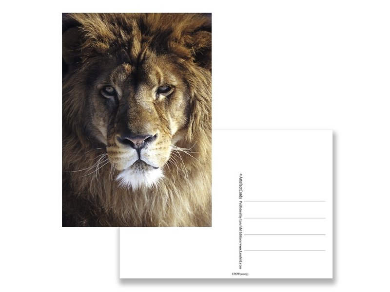 Carte postale, tête de lion