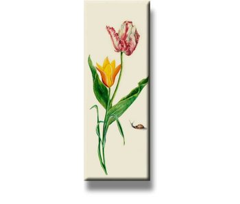 Kühlschrankmagnet, zwei Tulpen und Schnecke