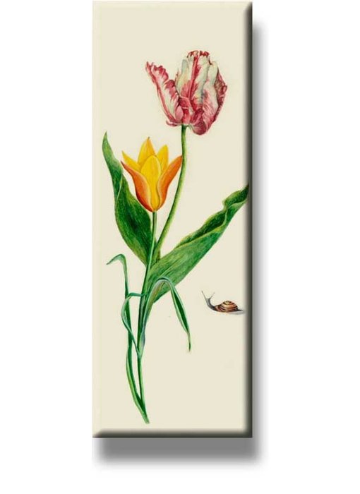 Kühlschrankmagnet, zwei Tulpen und Schnecke