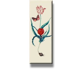 Imán de nevera, dos tulipanes y mariposa
