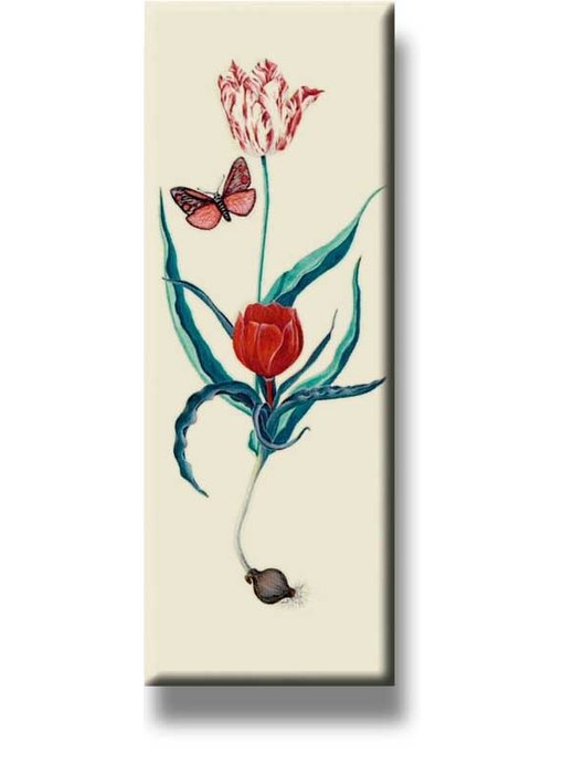 Kühlschrankmagnet, zwei Tulpen und Schmetterling