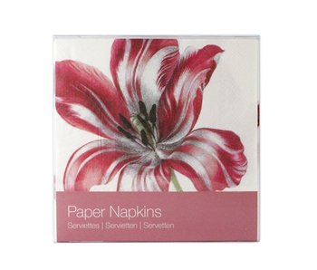 Servilletas de papel, Tres tulipanes, Merian