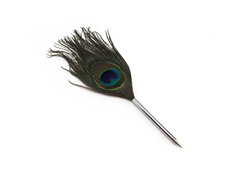 Quill pen, Peacock