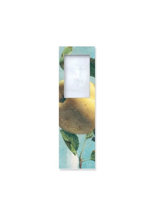 Magnifying Bookmark, Apple, Pyke Koch