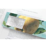 Magnifying Bookmark, Apple, Koch