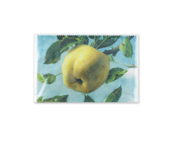 Paño de lente, 10 x 15 cm, manzana, Koch