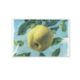 Chiffon à lunettes, 10 x 15 cm, Pomme, Koch