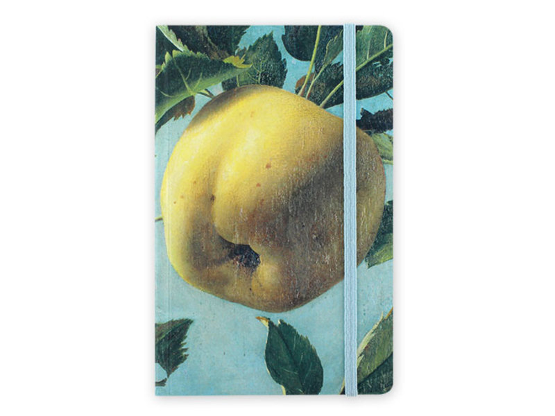 Cuaderno de tapa blanda, Apple, Koch