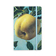 Carnet à couverture souple, Apple, Koch