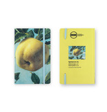 Cuaderno de tapa blanda, Apple, Koch