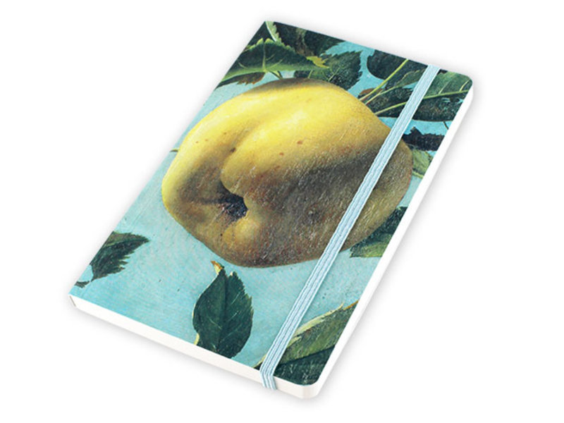 Cuaderno de tapa blanda, Apple, Koch