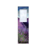 Magnifying Bookmark, Lavender field