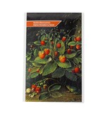 Postkarte mit Erdbeersamen, Schlesinger
