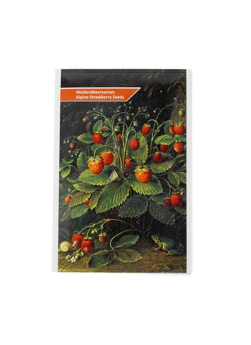 Postcard with strawberry seeds, Schlesinger