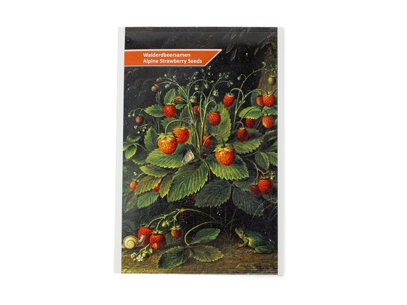 Postcard with strawberry seeds, Schlesinger