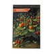 Postal con semillas de fresa, Schlesinger