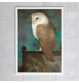 Poster, 50 x 70, Great owl on screen, Jan Mankes