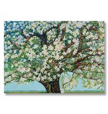 Affiche, 50 x 70, Beemster, arbre en fleurs, Toorop