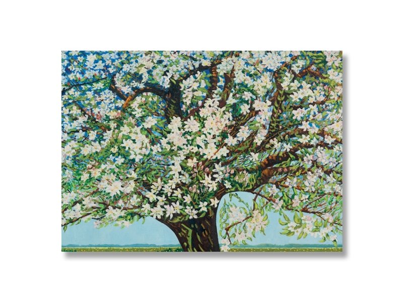 Plakat, 50 x 70, Beemster, blühender Baum, Toorop