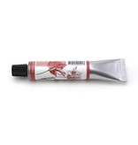 Tube de peinture Stylo, Tulipes, Merian