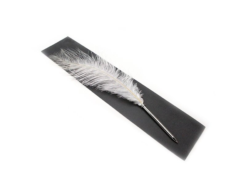 Pluma Avestruz Blanco