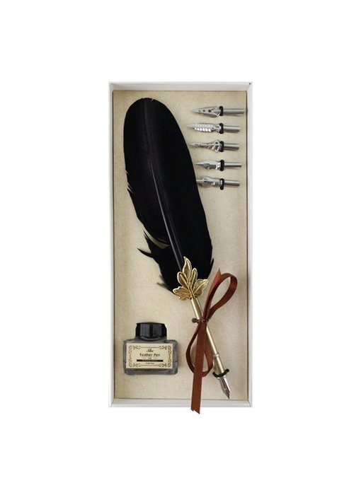 Quillpen Ink pen feather pen set, black  quill pen, white box