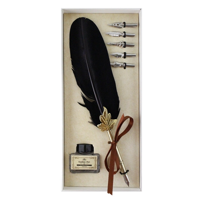 Ink pen feather pen set, black quill pen, white box