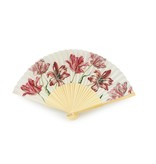 Fan W, Merian, Three Tulips