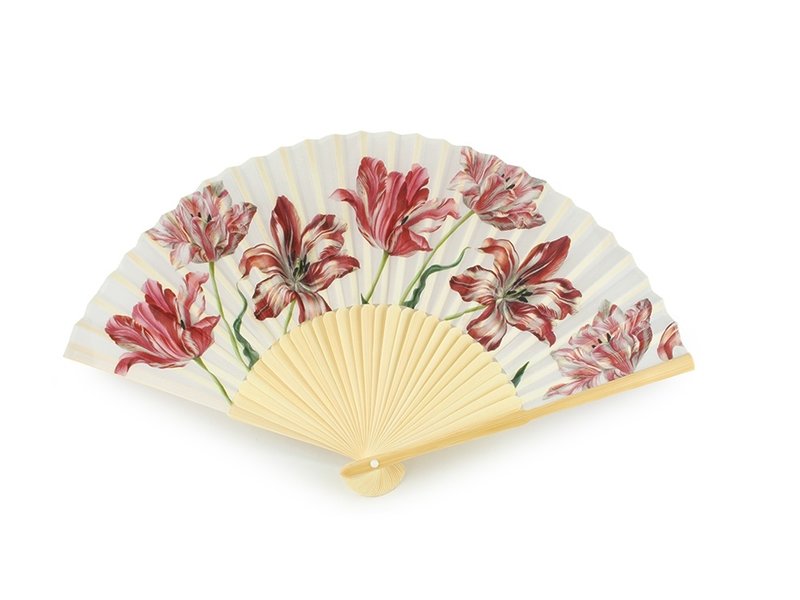 Fan W, Merian, Three Tulips